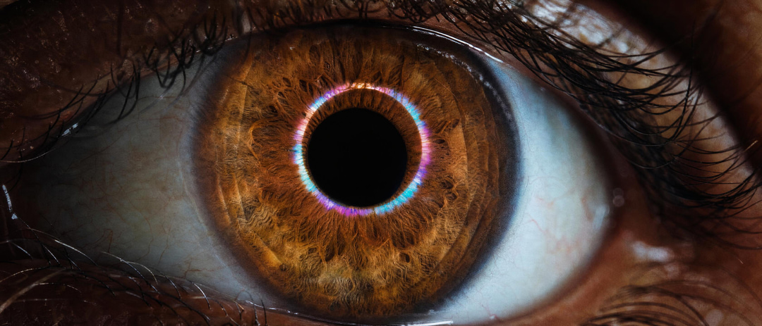 A macro iris, the moment of looking closely